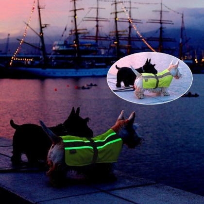 Petlife Flecta Hi-viz dog coat